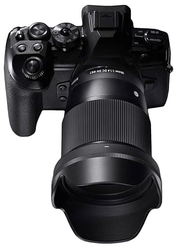 Sigma 16mm f/1.4 DC DN Contemporary Lens for Sony E (402965) Black thumbnail 11