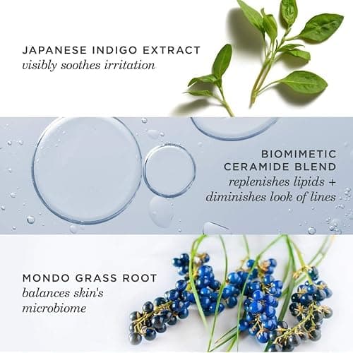 TATCHA Indigo Overnight Repair | Face Cream & Serum Treatment, Fragrance Free Night Cream, 50 ml | 1.7 oz thumbnail 5