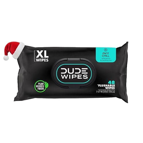DUDE Wipes - Flushable Wipes Stocking Stuffers - 1 Pack, 48 Count - Mint Chill - Vitamin-E, Aloe, Eucalyptus & Tea Tree Oils - Septic and Sewer Safe - Image 1