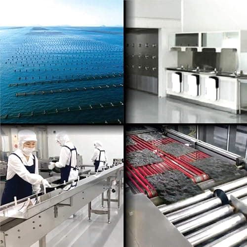 Blue Ocean Sushi Nori Seaweed Half Cut 200 sheets 260Gram Organic Yaki Roasted Rolls Wraps 100% Natural Laver Fresh Premium Thick Quality thumbnail 7