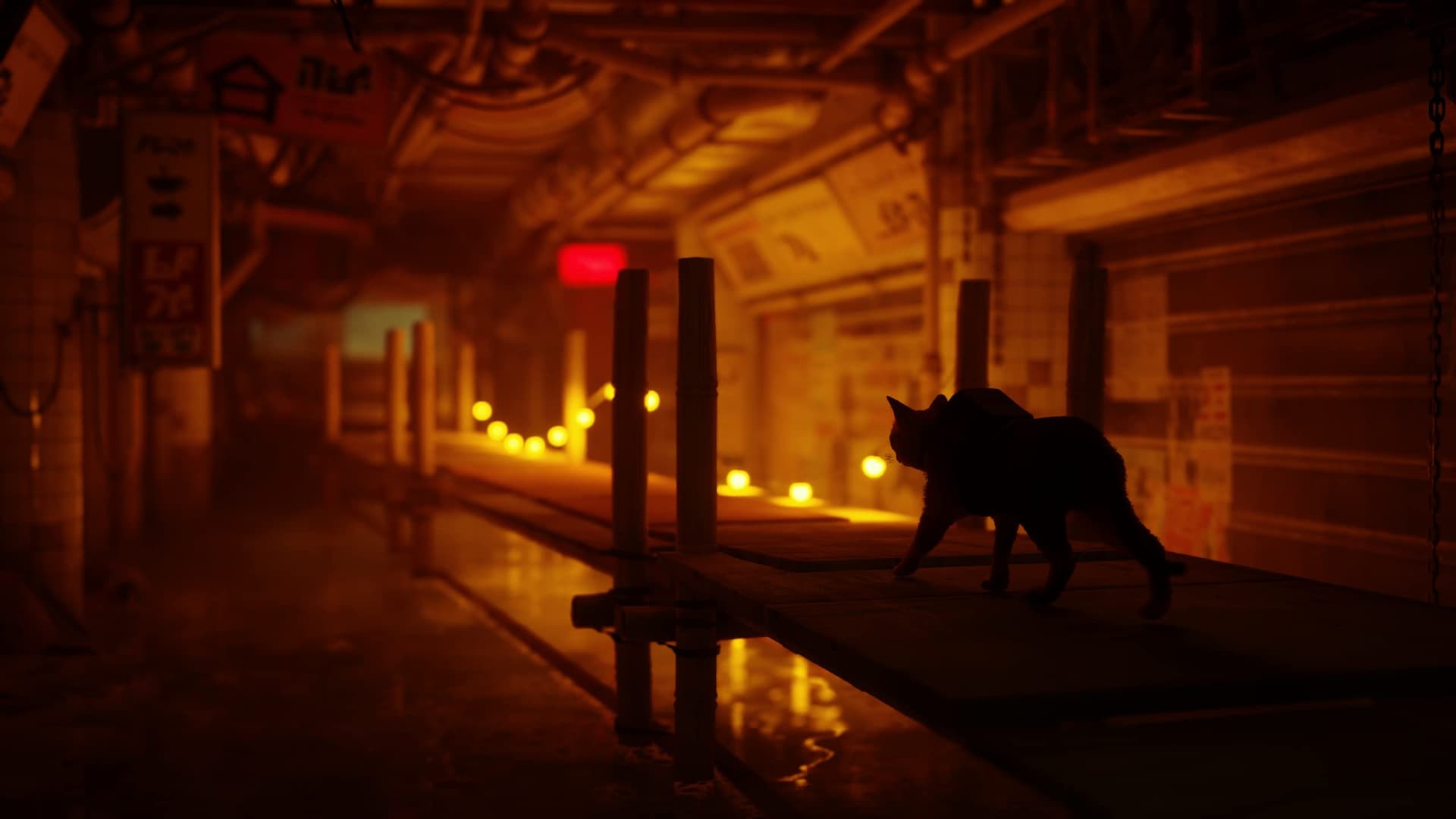 Skybound Stray for Xbox One and Series X thumbnail 16