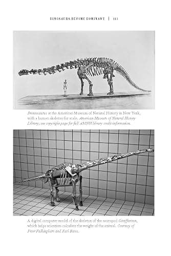 The Rise and Fall of the Dinosaurs: A New History of Their Lost World thumbnail 4