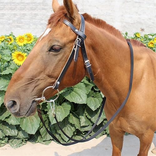 Y.J TAILS Leather Horse Bridle, Adjustable Western Browband Bridles for Horses with Bits and Detachable Reins (L (Above 1.2 Meters), Black) thumbnail 4