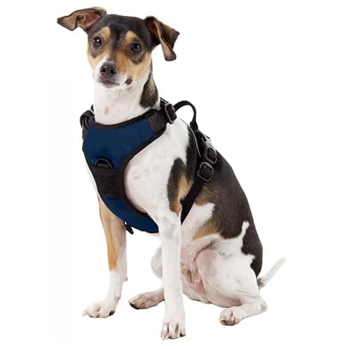 Littlearth NCAA Michigan Wolverines Pet Front Clip Harness, Team Color, Small thumbnail 3