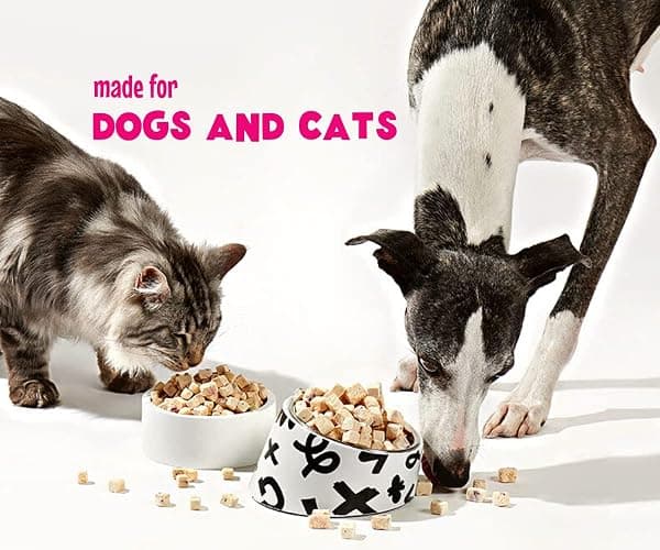 Arya Sit! - Freeze-Dried Single Ingredient Treat (Quail Egg Yolk) for Dogs and Cats - High Protein · Rich in Lecithin for Healthy Coat · No Artificial Ingredients · 4 oz/8 oz thumbnail 4