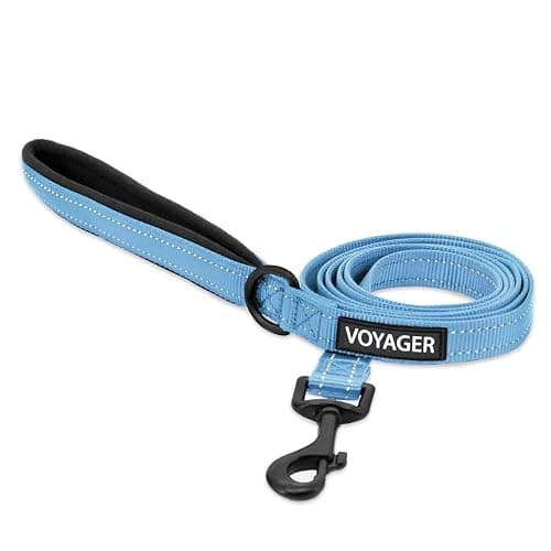 Best Pet Supplies Voyager Reflective Dog Leash or Collar with Neoprene Handle, for Small, Medium, and Large Breed Puppies, Cute and Heavy Duty for Walking, Running and Training - Baby Blue (Leash), S - Image 1