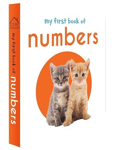 My First Library: Boxset of 10 Board Books for Kids thumbnail 5