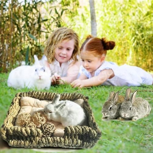 KitKni Natural Seaweed Pet Bed with Plush Cushion, 4 Woven Balls, Handmade Tetragonal Pet Basket, Cozy Indoor Den for Rabbits, Cats and Small Dogs thumbnail 5
