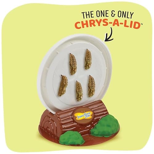 Insect Lore Butterfly Garden with 10 Live Baby Caterpillars - Habitat, Feeder, Chrys-A-Lid Holders, STEM Activity Journal - Raise and Release Painted Lady Butterflies thumbnail 6