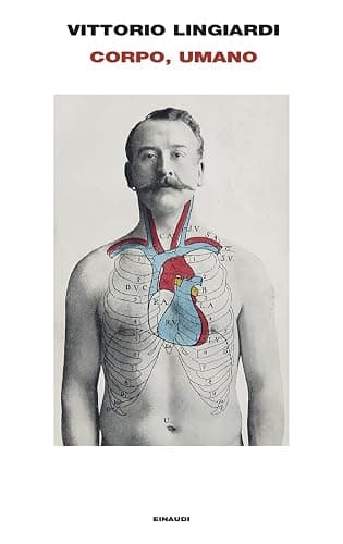 Corpo, umano - Image 1