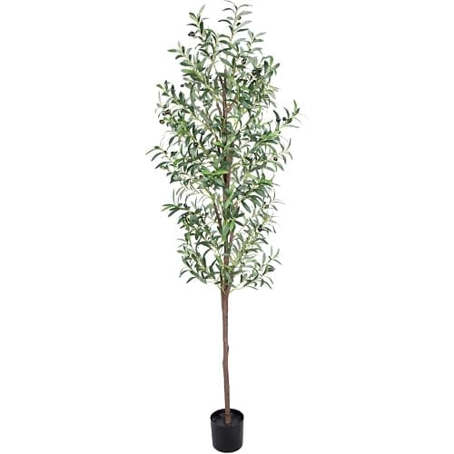 CETRD Artificial Olive Tree, 6FT Tall Faux Olive Trees 72in Outdoor Fake Potted Silk Plant with Trunk and Realistic 648 Leaves and 24 Fruits for Modern Office Home Decor Indoor（1pack） - 1pack - 6ft thumbnail 6