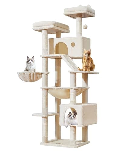 Taoqimiao Arbre a Chat Maine Coon,180cm Stable Arbres à Chat XXL avec 2 Condos Spacieux pour Chats, 8 Griffers, 2 Plateformes, Panier pour Matou, Confortable Hamac, Beige MS026LM thumbnail 9