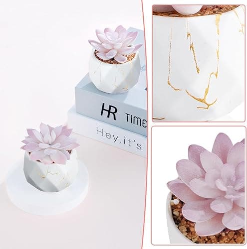 ZENIDA Artificial Succulent Plants in 2 White Ceramic Pots, Cute Fake Plants for Vanity Decor,Office, Desk, Bathroom, Kitchen,Bedroom, Shelves Decor for Women,Girls Gift thumbnail 5