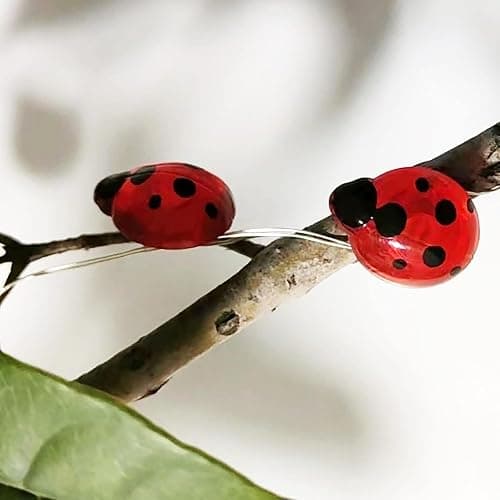 WONFAST Ladybugs Fairy String Lights, 9.8ft 30LED Ladybug Silver Wire String Lights Battery Operated Indoor Outdoor Decorative Light for Garden Patio Bedroom Birthday Party Wedding Christmas (Red) thumbnail 6