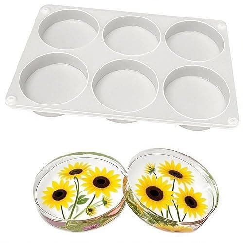 6-Cavity Deep Round Coaster Silicone Molds for Epoxy Resin, 4 Inches Coaster Resin Mold for Flower Bouquet Preservation thumbnail 6