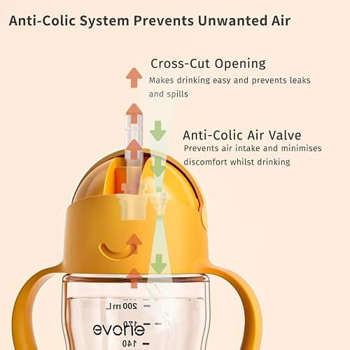 Evorie Tritan Weighted Straw Sippy Cup with Handles for Baby and Toddlers, Spill Proof Baby Water Bottle with Straw for 6 Months and up, 7 Oz, Infant Training Water Bottle (Daydream) thumbnail 7