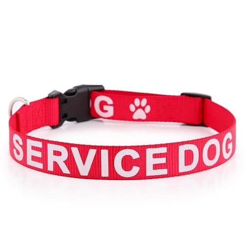 Plutus Pet Service Dog Collar,Printed in Large Letters on Nylon Webbing,Prevents Accidents by Warning Others of Your Dog in Advance,Two Colors,Four Sizes,Neck 14-20 inch,Medium,Red | Adjustable, Heavy Duty with Quick Snap Buckle, for Puppy Small Medium Large Dogs, Red, M - Image 1