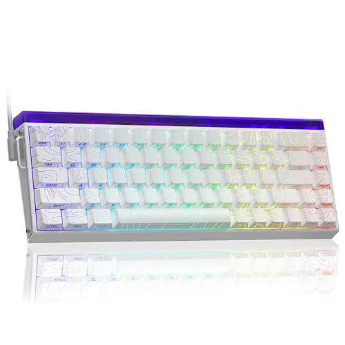 AULA Hero 68 HE 60% Gaming Keyboard Wired, Hall Effect Magnetic Switch Keyboard with 8K Hz Polling Rate, Side Printed PBT Keycaps, RGB Backlit Light Box, Customizable Web Software for PC/Mac Gamers - Image 1