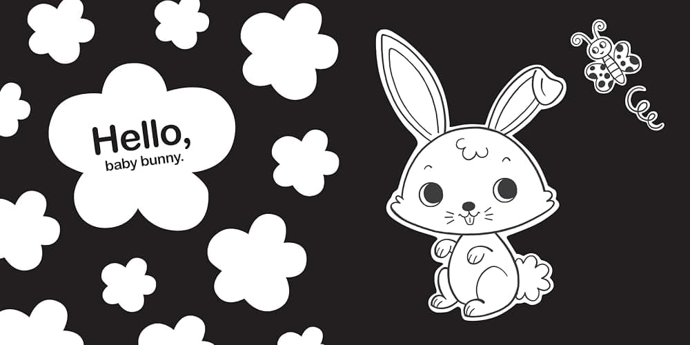 Hello, Baby Animals: A perfect book for parents and caregivers at home with babies this summer (High-Contrast Books) thumbnail 2