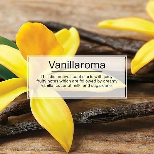 LITTLE TREES Car Air Freshener | Hanging Paper Tree for Home or Car | Vanillaroma | Pack of 6 thumbnail 5