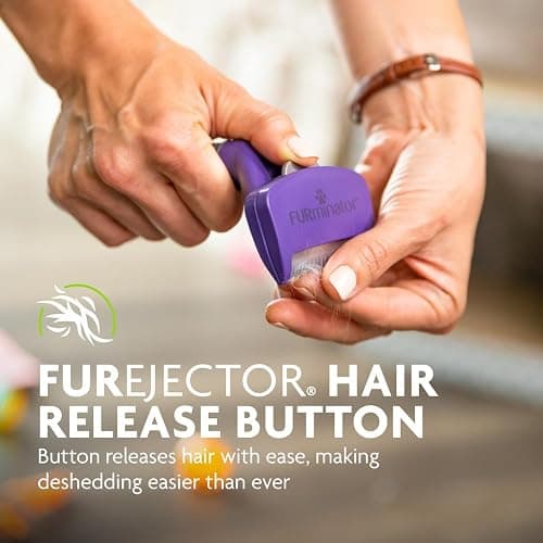 FURminator deShedding Tool For Medium/Large Cats, Short Hair, Removes Loose Hair From Shedding thumbnail 9