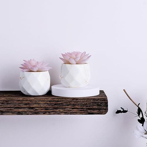 ZENIDA Artificial Succulent Plants in 2 White Ceramic Pots, Cute Fake Plants for Vanity Decor,Office, Desk, Bathroom, Kitchen,Bedroom, Shelves Decor for Women,Girls Gift thumbnail 6