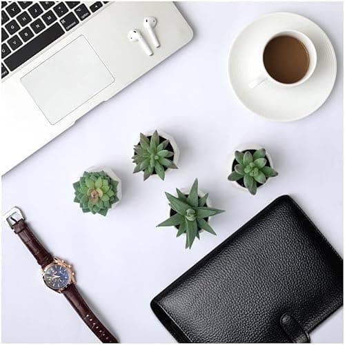 CADNLY Fake Succulent Plant Set - Artificial Plants for Women Desk - Realistic Faux Succulents in Ceramic Pots - Mini Green Decor for Bedroom Bathroom Office Shelf 4 Pack thumbnail 7