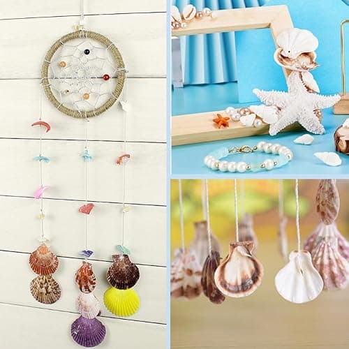 KISSITTY 500 Grams Dyed Scallop Beach Sea Shell Beads with Holes 1.53-1.77" (39-45mm) Length for DIY Jewelry Making Art Craft Projects-Bag of Approx. 90pcs - Mixed Colors#Shell Shape thumbnail 4