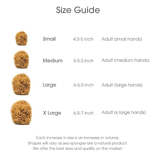 Naroa Soft Natural Sea Sponge | Gentle Loofah for Bathing Smooth Skin | Unbleached Shower Body Scrubber Puff | Bath & Spa (Medium) thumbnail 6