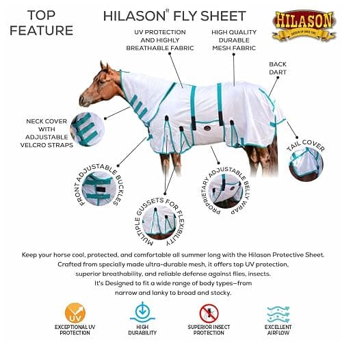 HILASON Horse Fly Sheet - Summer Spring UV Protection Mesh Bug Mosquito FlySheet for Horses | Mosquito Horse Fly-Sheet thumbnail 2