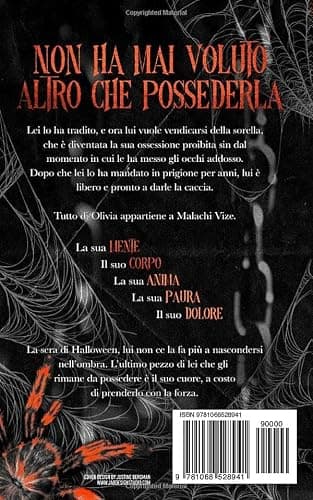Little Stranger: Edizione Italiana (La ragnatela del silenzio) (Italian Edition) thumbnail 2
