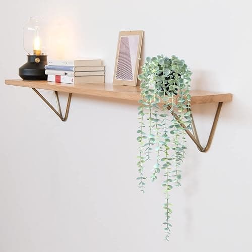 HOFMEFY Fake Hanging Plant Eucalyptus Artificial Faux Plants Indoor Small Wall Greenery Decor for Shelf with Black Pot Soft Green 1PCS 23Inch Long thumbnail 5