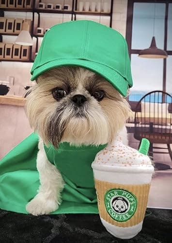 Nestpark Parody Star Pups Coffee Dog Toy Pup'kin Spice Latte - Funny Plush Squeaky Crinkle Dog Toys for Medium, Small and Large for Dog Birthday thumbnail 4