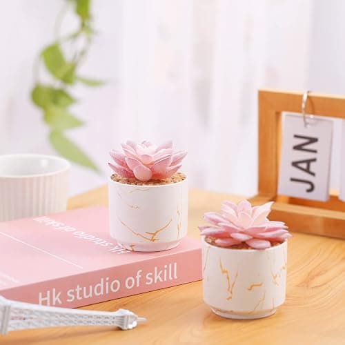ZENIDA Artificial Plants and Succulents in 2 White Ceramic Pots,Small Fake Plants for Office and Desk Decor,Bathroom, Bedroom,Shelves for Women thumbnail 2