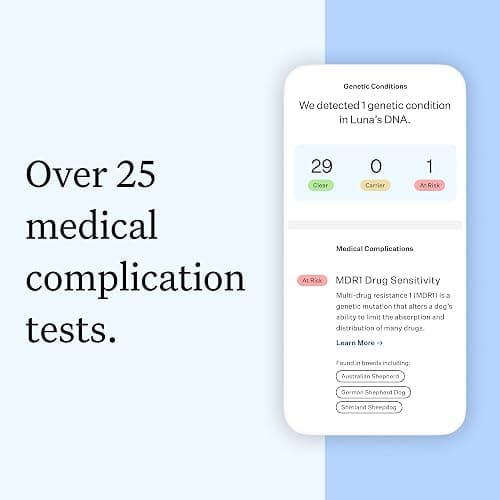 Wisdom Health Essential Dog DNA Kit | Most Accurate Test | 365+ Breeds | 30 Genetic Health Conditions | 50+ Traits, Relatives, Ancestry | Pack of 1 thumbnail 3