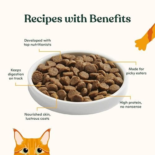 Made by Nacho Dry Cat Kibble 11lb Bag, High Protein and Grain-Friendly Premium Cat Food, Sustainably Caught Salmon and Pumpkin, Infused with Bone Broth for Hydration, Limited Ingredients, Single Bag thumbnail 3