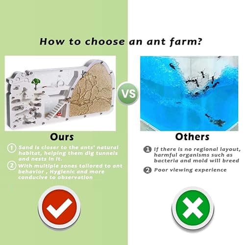 Ant Farm Castle - Large Viewing Area - Care for Live Ants - Ant Colony Observation Kits with Sand Habitat - Educational Science Gifts for Boys, Girls - Ant Farms for Kids, Adults, Student (Yellow) thumbnail 4