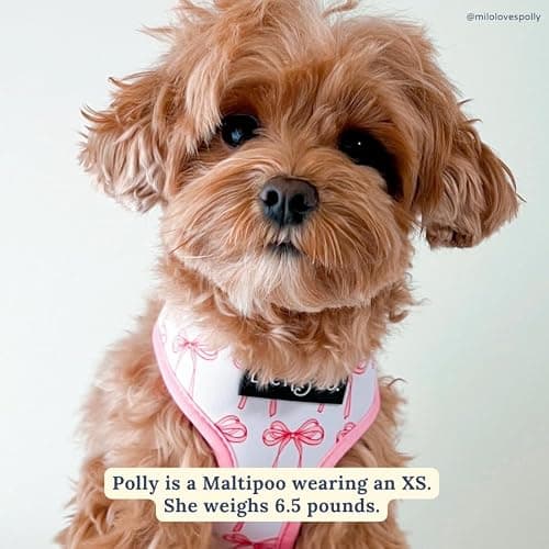 Lucy & Co. Cute Reversible Dog Harness Walking Halter - Best Designer Pet Harnesses for XS - XL Dogs - Padded Adjustable Vest for Easy Walking (X-Small, Ballet Bows - White & Pink Bows) thumbnail 4