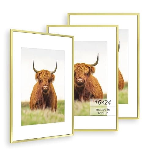 Golden State Art, 16x24 Picture Frame Set of 3, Gold Thin Border, Display Photo 12x18 with Mat or 16x24 Without Mat, Poster Frame for Wall Hanging Horizontal and Vertical - Image 1