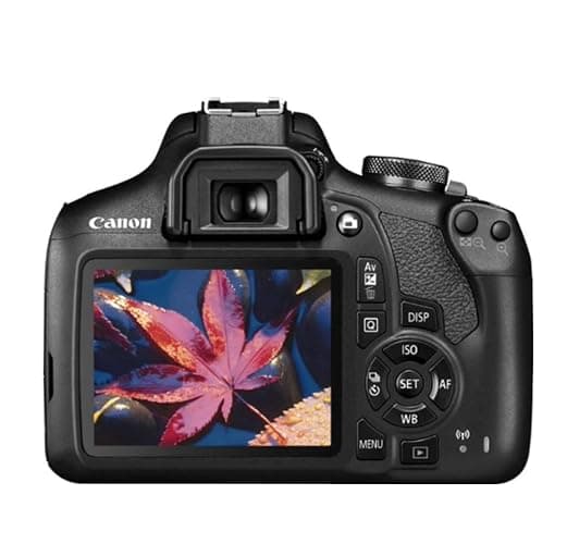 Canon EOS Rebel T7 DSLR Camera|2 Lens Kit with EF18-55mm + EF 75-300mm Lens, Black thumbnail 3