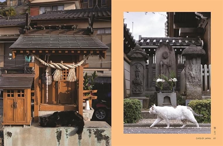 Neko: Cats of Japan thumbnail 4