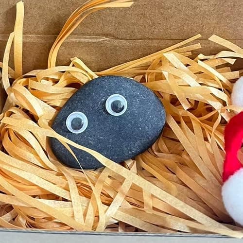The Original Stone Pet DIY Kit - Adorable Low-Maintenance Desk Buddy | Custom Accessories (Scarf, Googly Eyes, Raffia) & Travel Bag | Perfect White Elephant & Birthday Gift thumbnail 6
