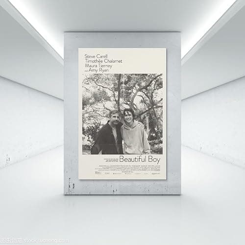 Beautiful Boy Movie Poster for Bedroom Aesthetic Wall Decor Canvas Wall Art Gift 12x18inch(30x45cm) thumbnail 7
