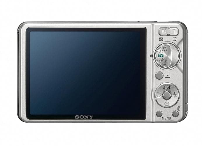 Sony Cyber-shot DSC-W290 12.1 MP Digital Camera with 5x Optical Zoom and Super Steady Shot Image Stabilization (Silver) thumbnail 2