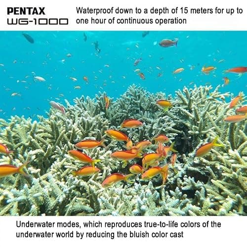 PENTAX WG-1000 Olive Waterproof Digital Compact Camera, Designed for Casual Outdoor and Underwater Photography, Waterproof to a Depth of 15 Meters, for up to one Hour of Continuous Operation thumbnail 5