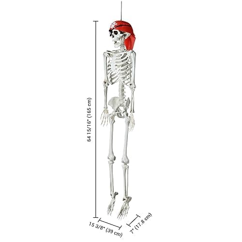 ZeHuoGe Halloween Prop 5.4 Ft. Posable Full Body Skeleton Life Size ABS Plastic Imitate The Ratio of Human Bones 1: 1 Haunted Houses Indoor Outdoor Props (5 Ft Full Body Skeleton) thumbnail 3