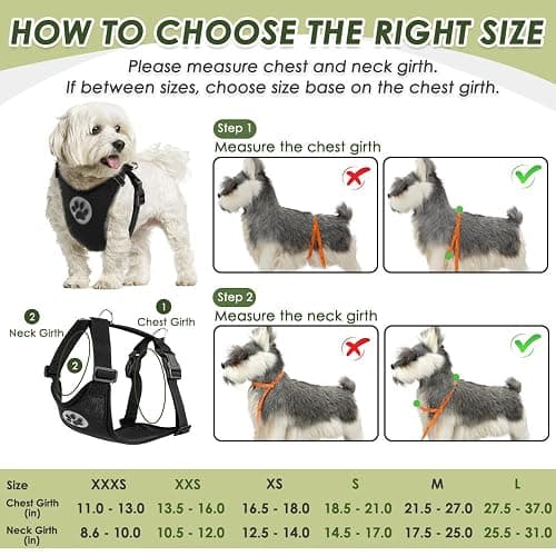 SlowTon Dog Seat Belt Harness for Car, Dog Car Harness Adjustable Mesh Breathable & Dog Seatbelt Safety Tether with Elastic Bungee for Small Medium Large Pets(Black, Double Clip, M) thumbnail 5