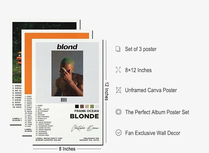 Bkioqoh A Set of 3 Canvas Prints, Frank Ocean Poster Set (Channel Orange, Ocean Blonde), Album Aesthetics 3-Piece Set, Unframed, 8x12IN thumbnail 2