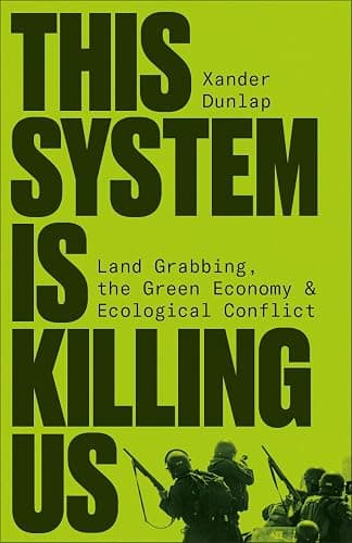 This System is Killing Us: Land Grabbing, the Green Economy and Ecological Conflict - Image 1