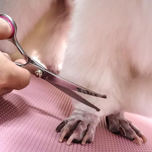 FAIGEO Dog Grooming Scissors with Safety Round Tips Stainless Steel Professional Dog Grooming Kit - Thinning, Curved Scissors and Comb for Cat Pet (Pink 4 in 1) thumbnail 7